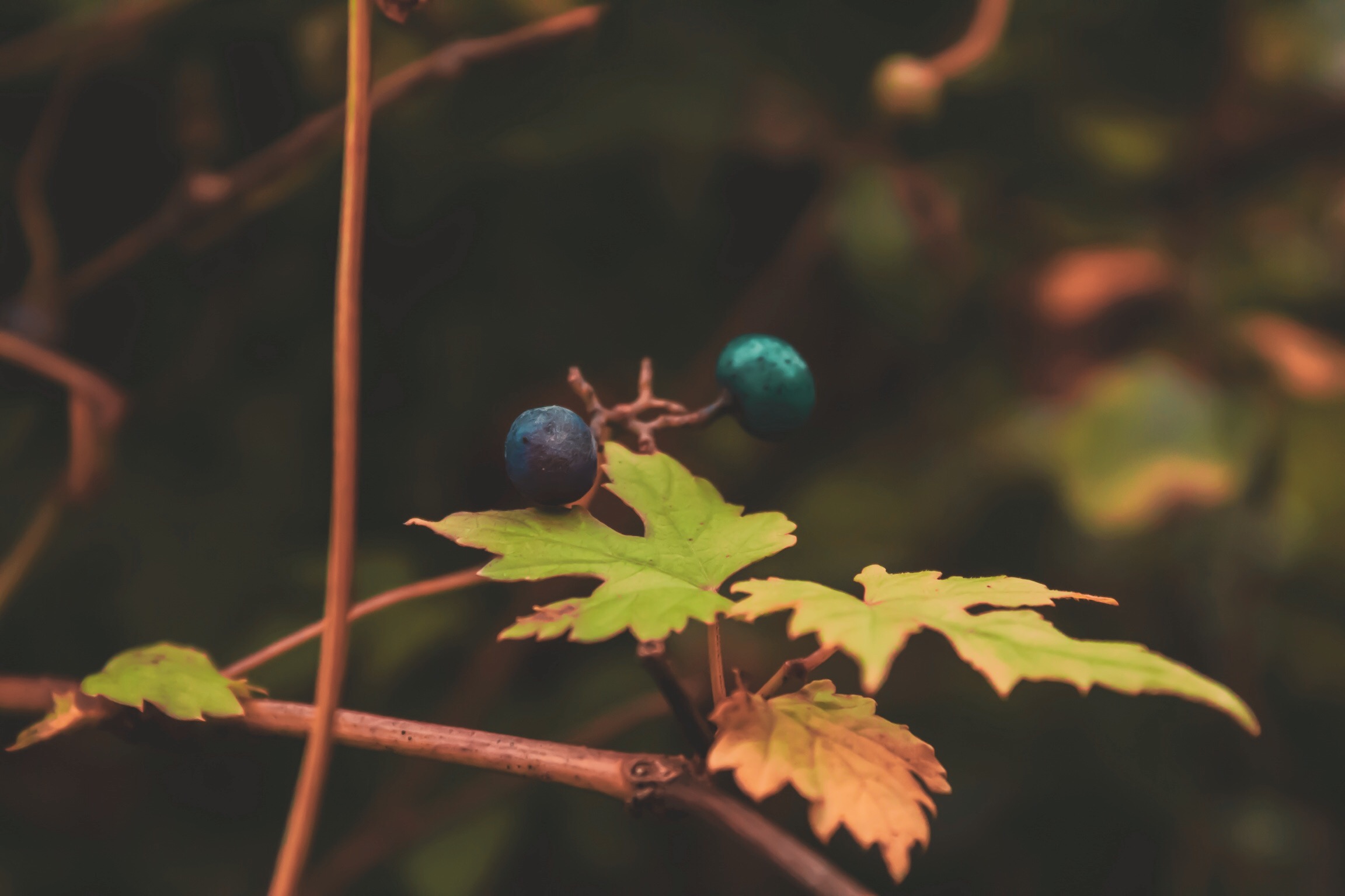 Processed with VSCO with g8 preset
